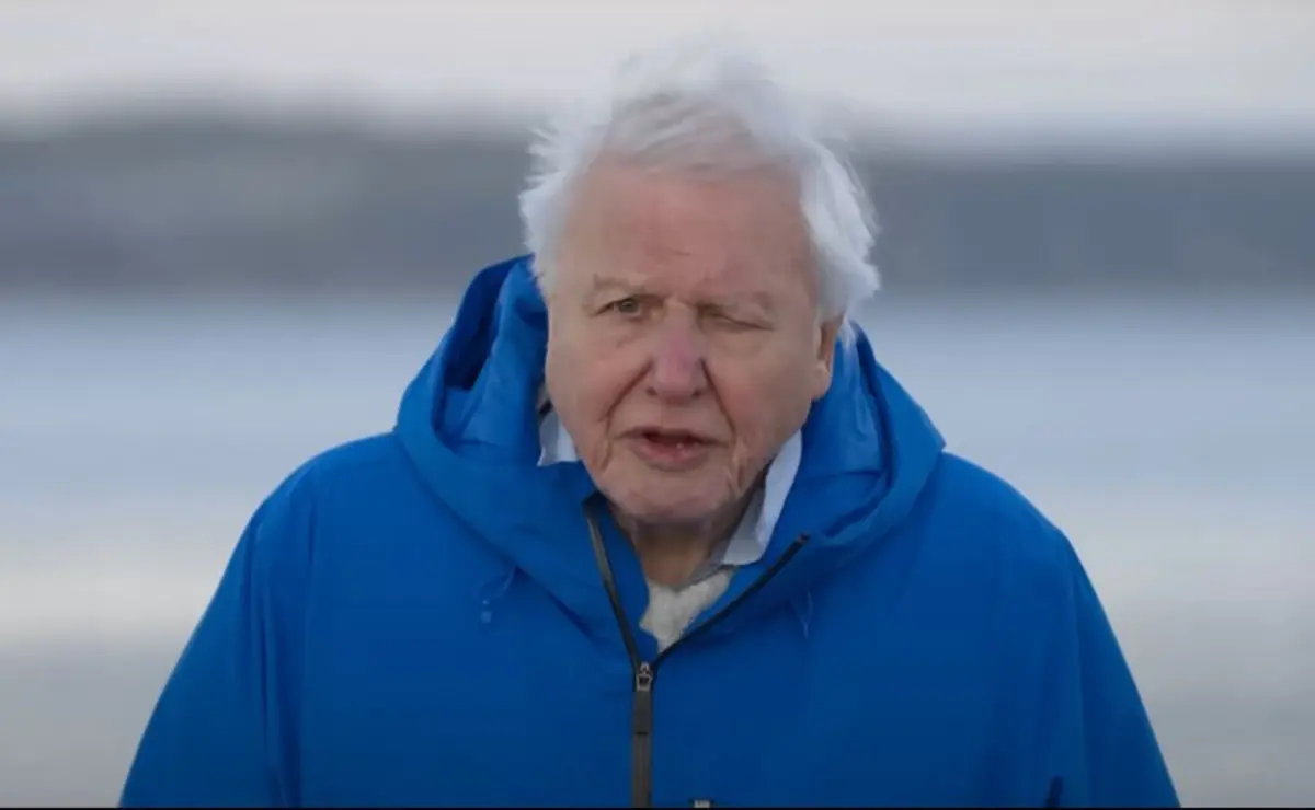 Após décadas a observar o mundo natural, Attenborough diz compreender agora que "o lugar mais importante da Terra não é em terra"