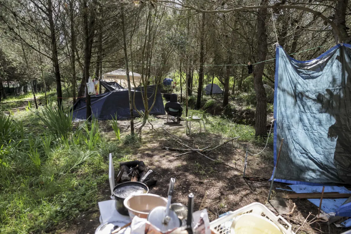 Empresa está a informar os "ocupantes do terreno" que terão de se retirar