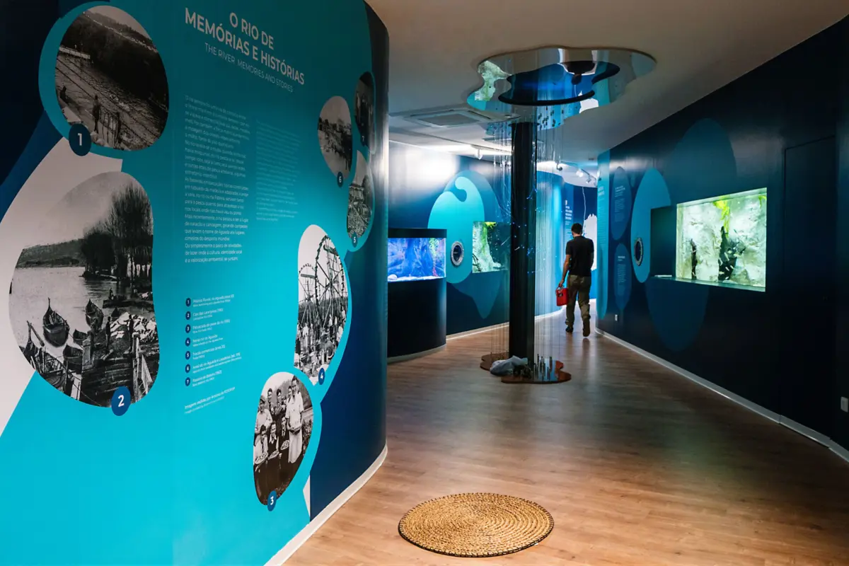 Centro vai permitir mergulhar a fundo no valor natural e cultural do rio Águeda