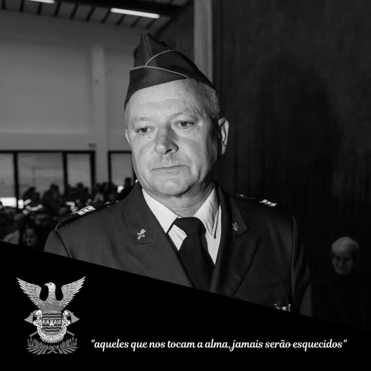 Imagem de contexto do artigo Bombeiro de Castelo de Paiva morre após ser picado por vespa asiática