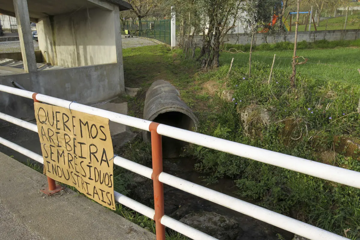 Imagem de contexto do artigo Crimes ambientais aumentam, mas as condenações são raras