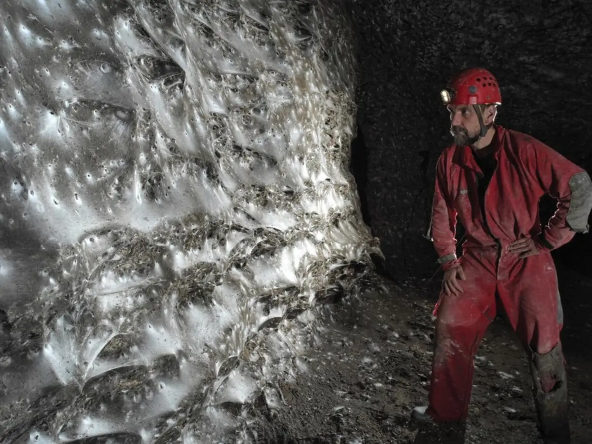 A teia de aranha cobre quase 106 metros quadrados
