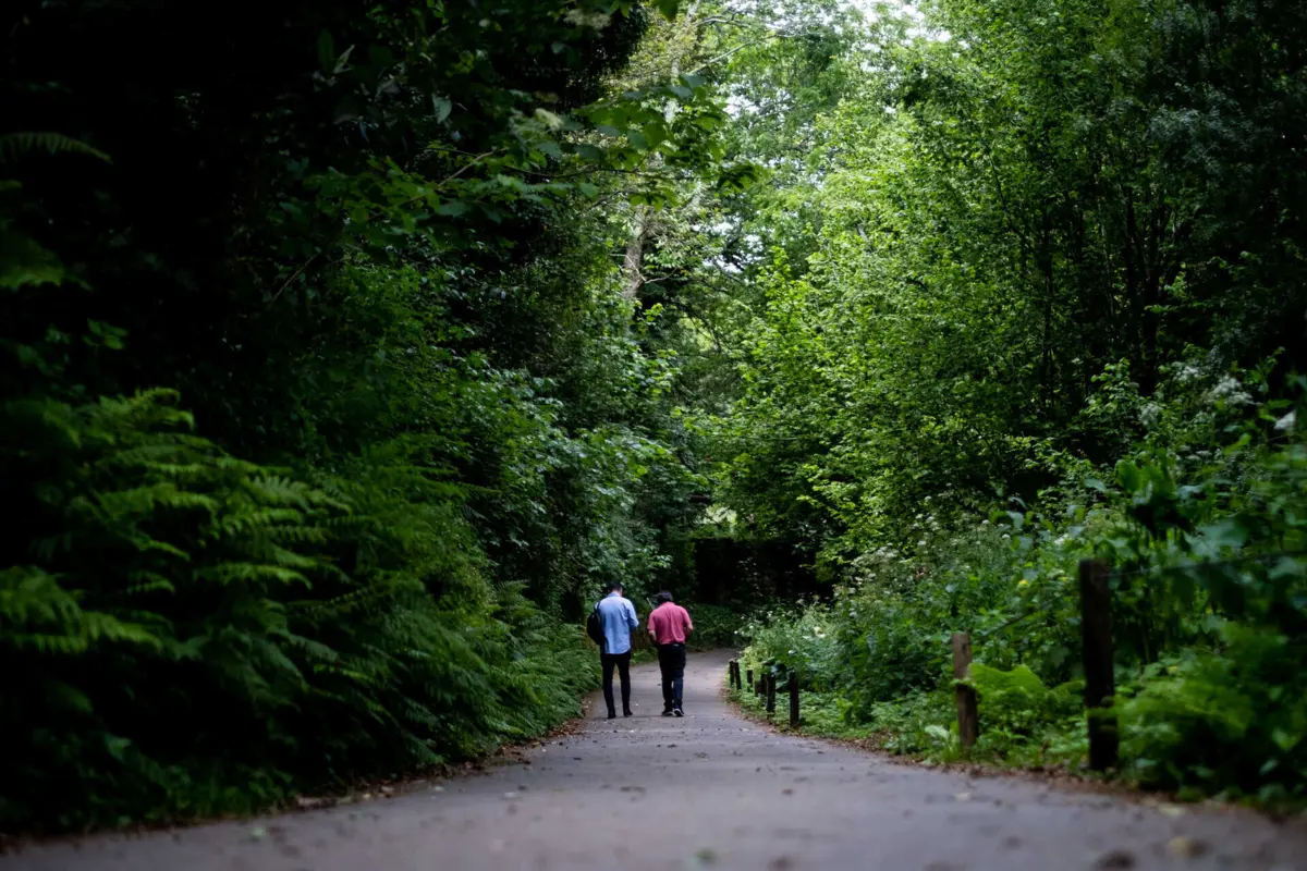As espécies não cinegéticas foram entregues ao Parque Biológico de Gaia