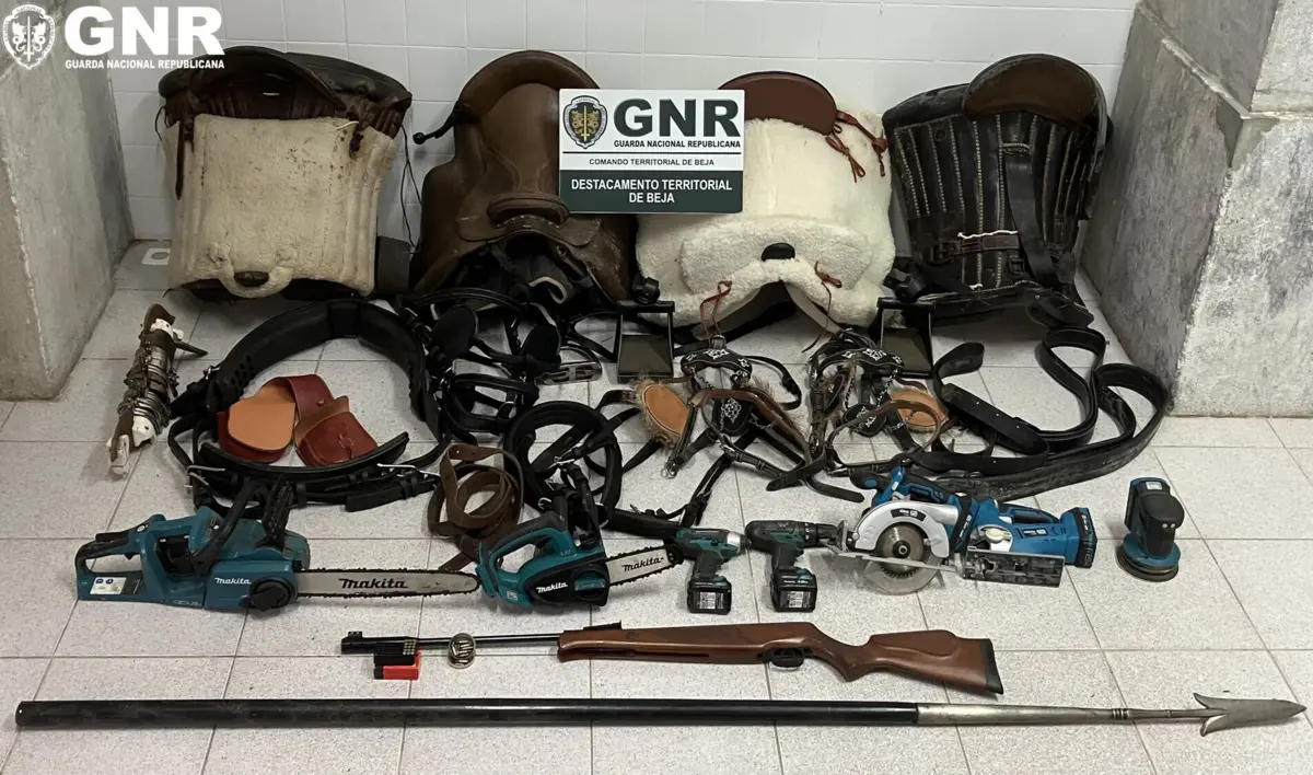 Jovem detido pela GNR estava na posse de uma arma proibida e material furtado, em Beja