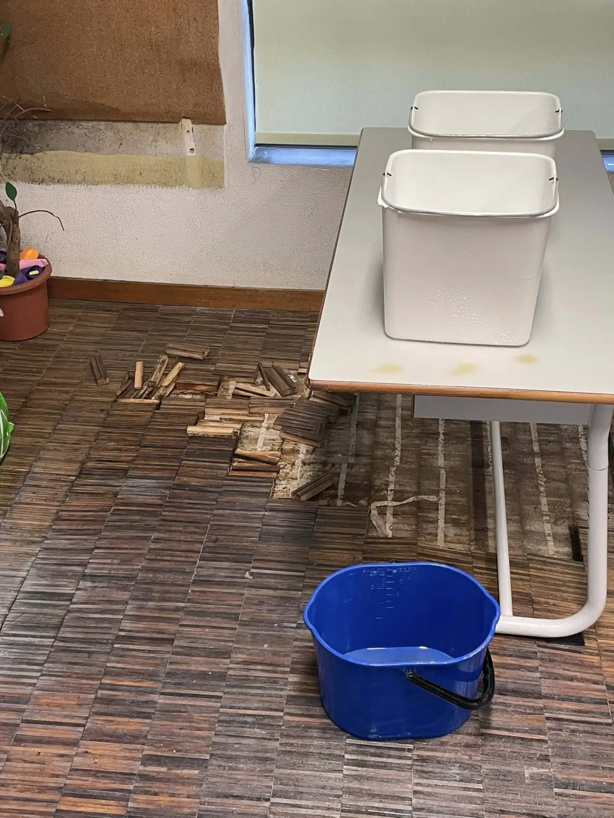 A presidente da Junta, a socialista Ana Rita Sencadas, denunciou a situação