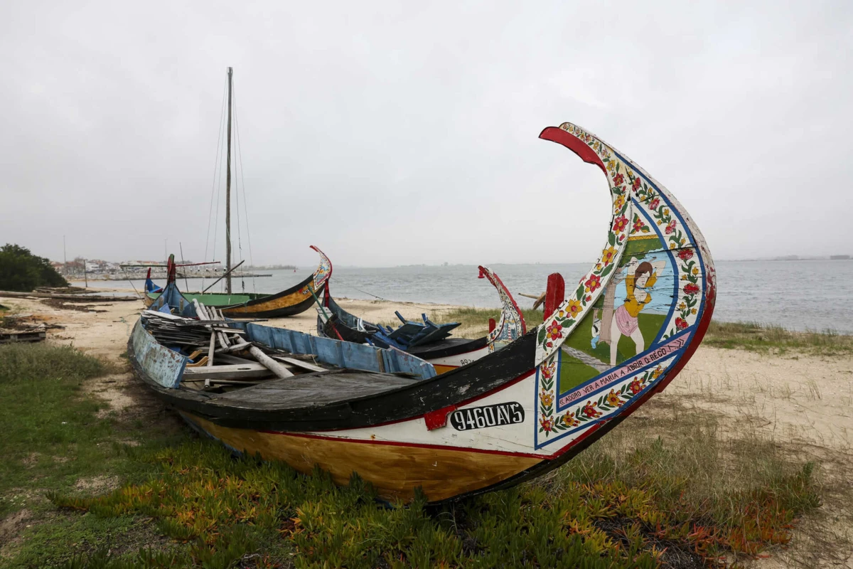 A maioria dos concorrentes é do concelho da Murtosa