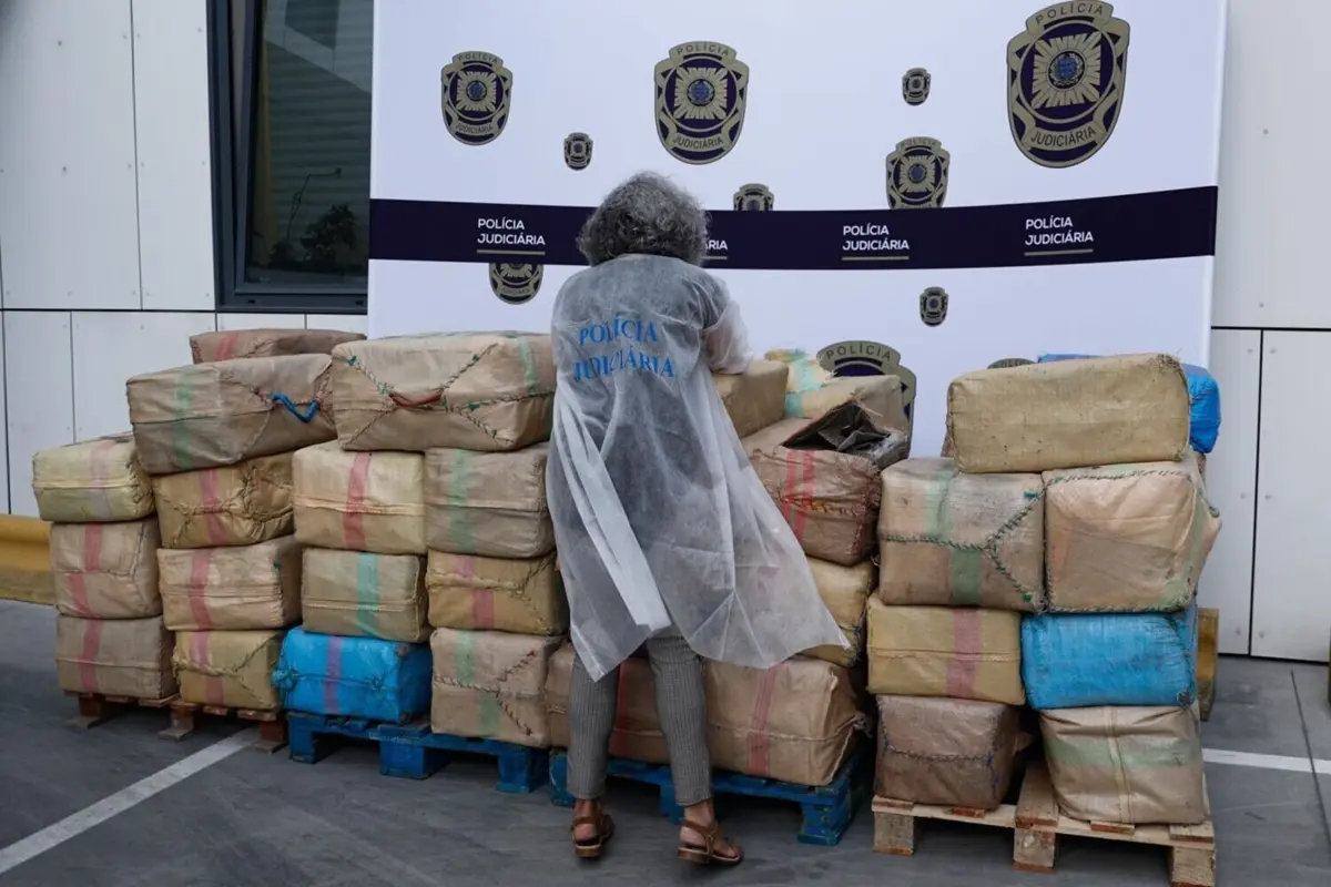 PJ apreendeu 56 fardos de haxixe