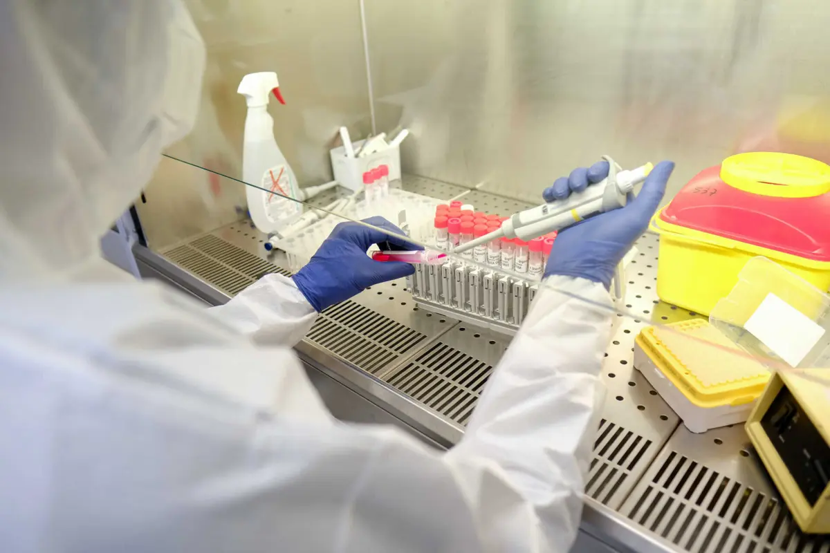 Segundo os cientistas, são conhecidas mais de 100 variantes de "S. pneumoniae"