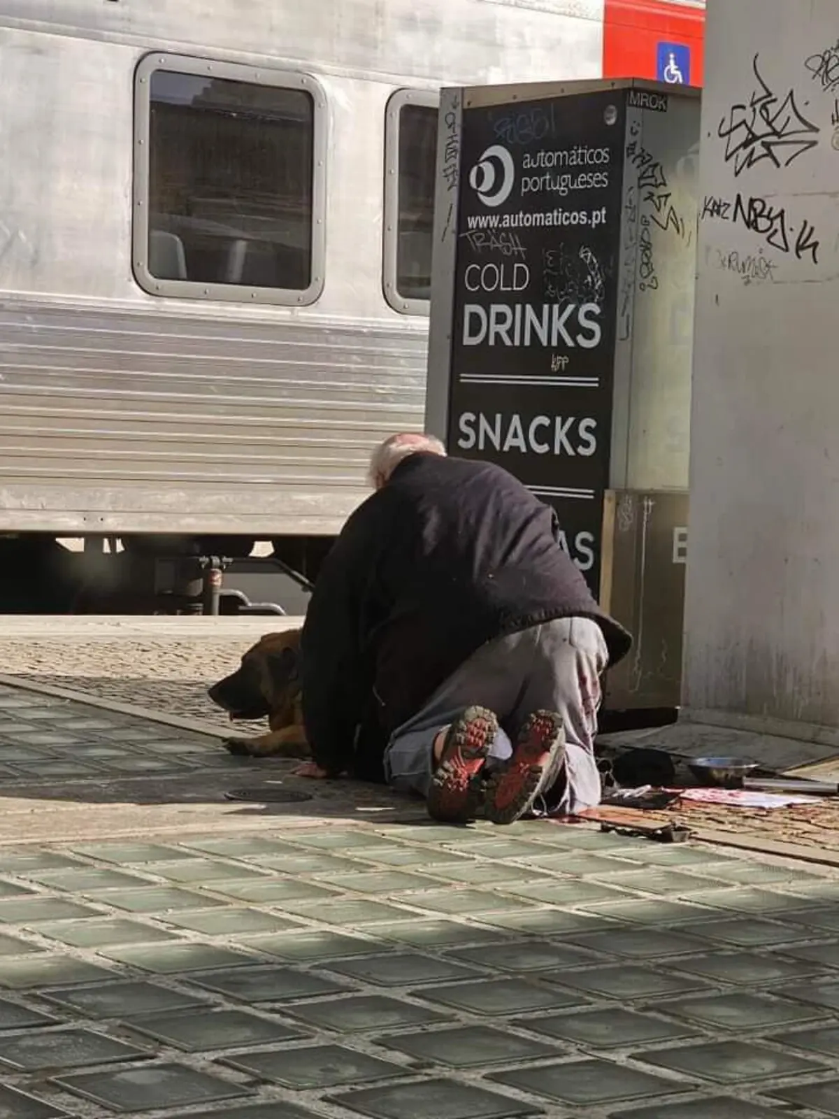 Agentes detiveram idoso que atiçava o cão contra eles. Animal foi abatido a tiro