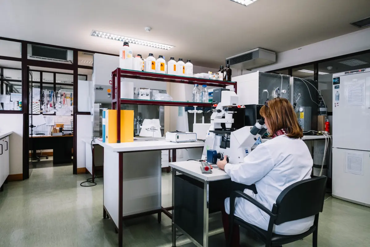 Evolução científica tem vindo a retirar importância ao uso do cordão umbilical