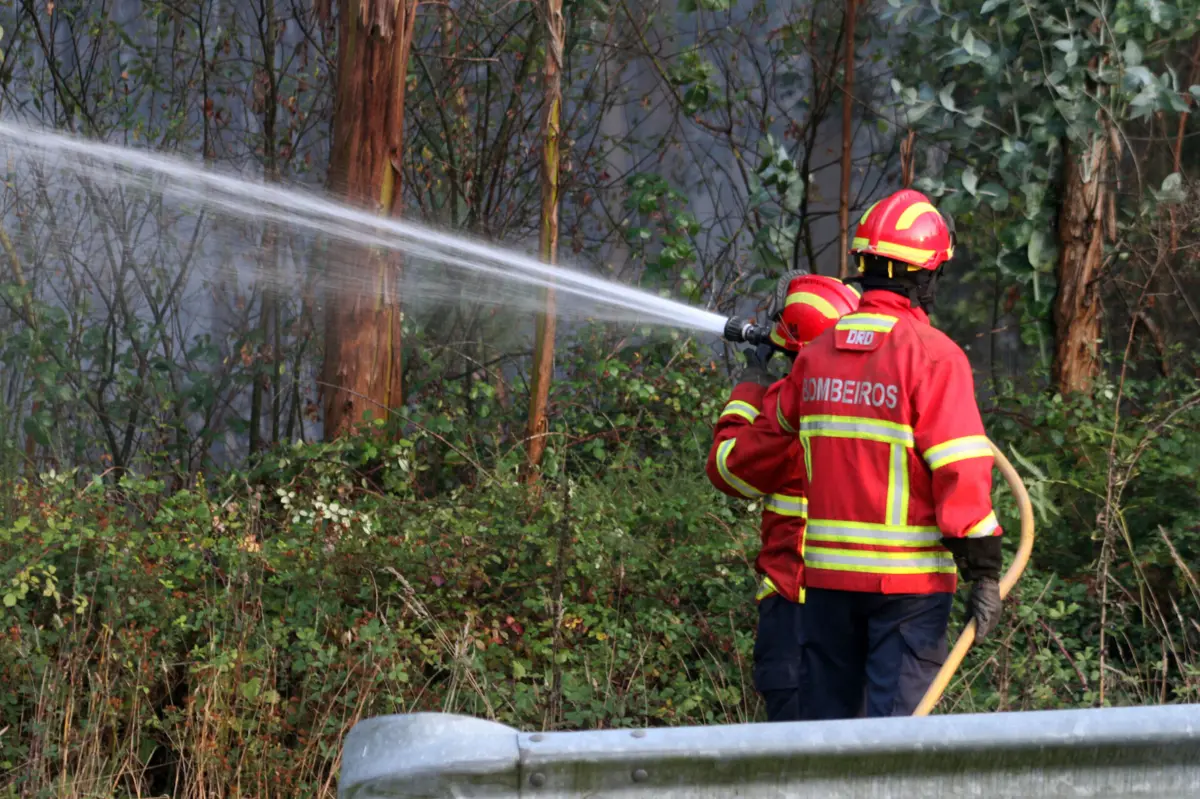 O incêndio consumiu 1486 hectares de mato, olival, amendoal, soutos e eucaliptos
