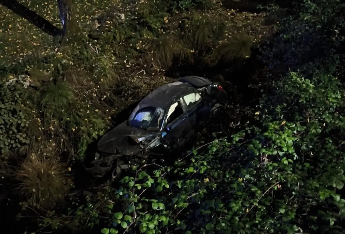 O automóvel foi projetado para um ribeiro