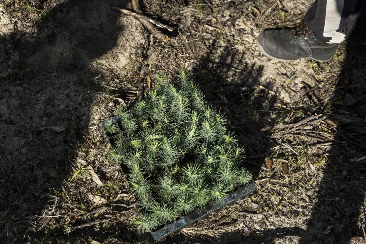 Associação defende ainda uma nova categoria de solo rústico para “proteger a soberania alimentar local”