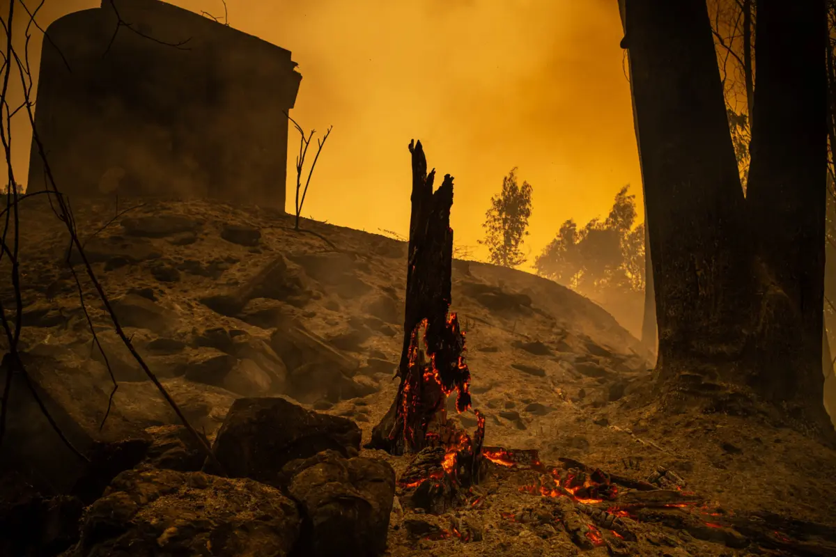 Homem foi detido quando ateava fogo em Gondomar