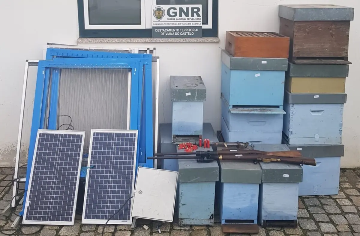 A detenção teve lugar no âmbito de uma investigação por furto de colmeias