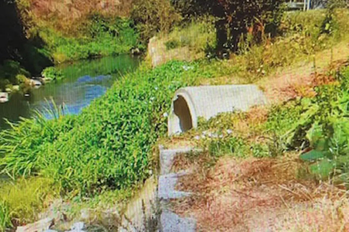 Imagem de contexto do artigo Descarga poluente no rio Leça, entre a Rua da Lionesa e a Via Norte, em Matosinhos