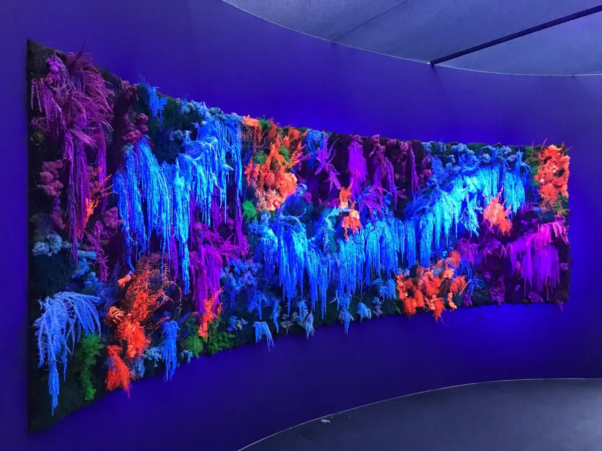 Palácio de Exposições de Nice está aberto ao público