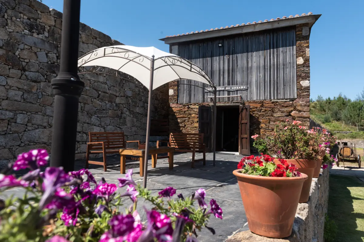 Setor do alojamento turístico registou 30 milhões de hóspedes em 2023