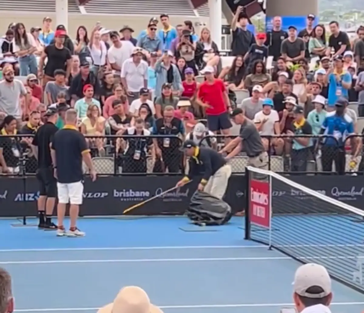 Imagem de contexto do artigo Cobra venenosa entra no court e interrompe jogo de ténis na Austrália