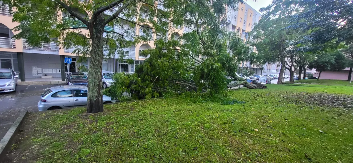 Na mesma noite, foram atingidos quatro carros