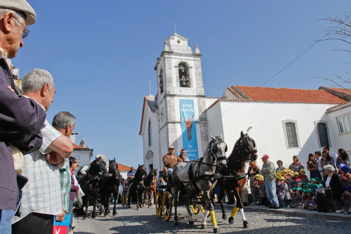 Imagem de contexto do artigo Pai morre e filho fica ferido depois de serem atropelados por charrete em romaria