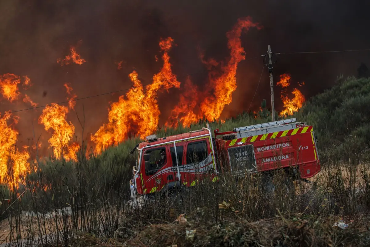 Imagem de contexto do artigo Sete maiores fogos combatidos por 3300 operacionais