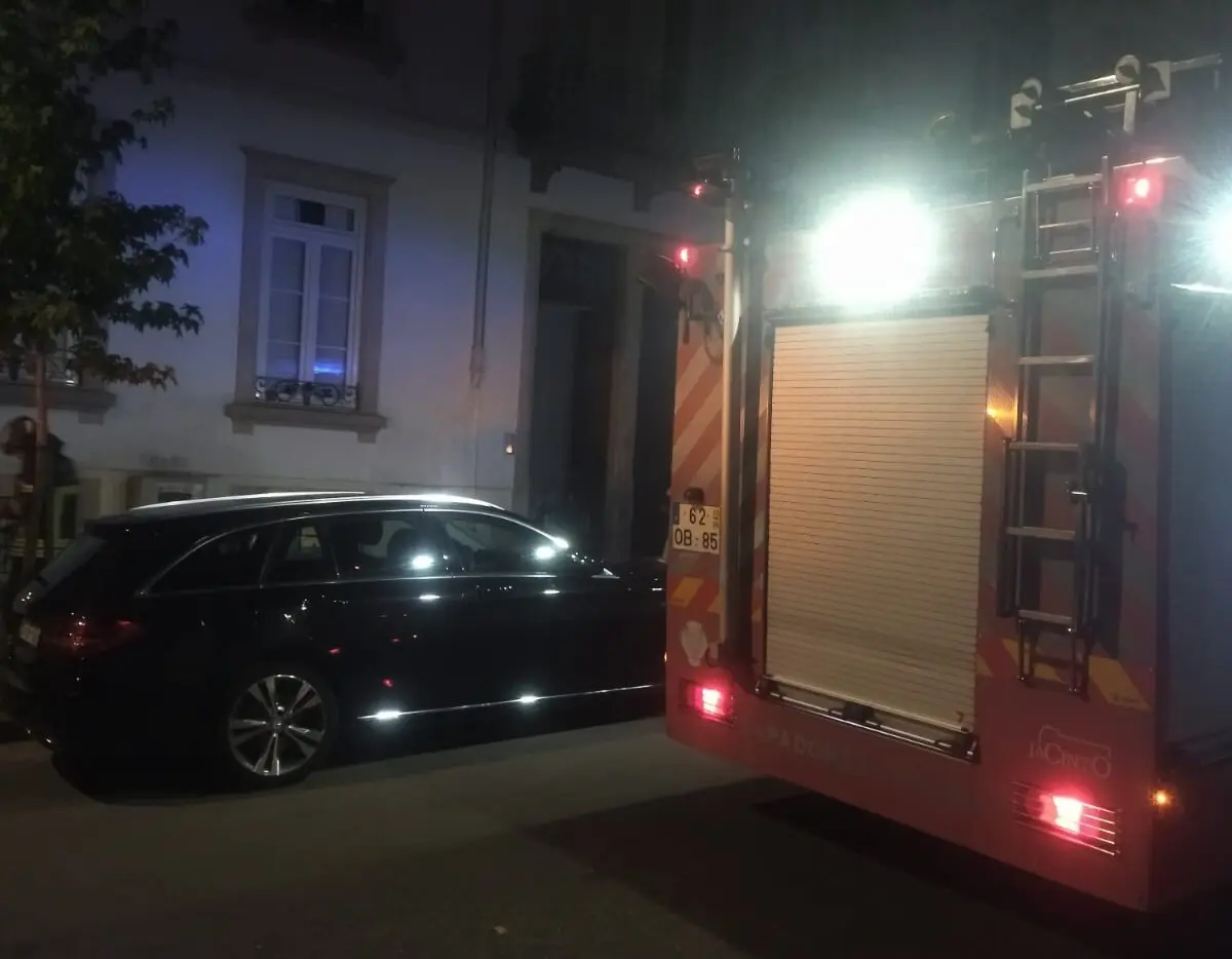 Imagem de contexto do artigo Gato aciona placa de indução e causa incêndio em Coimbra