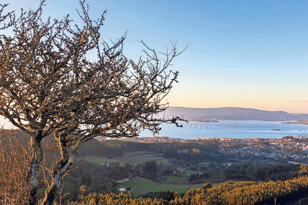Multinacionais do narcotráfico recrutam em Portugal e na Galiza