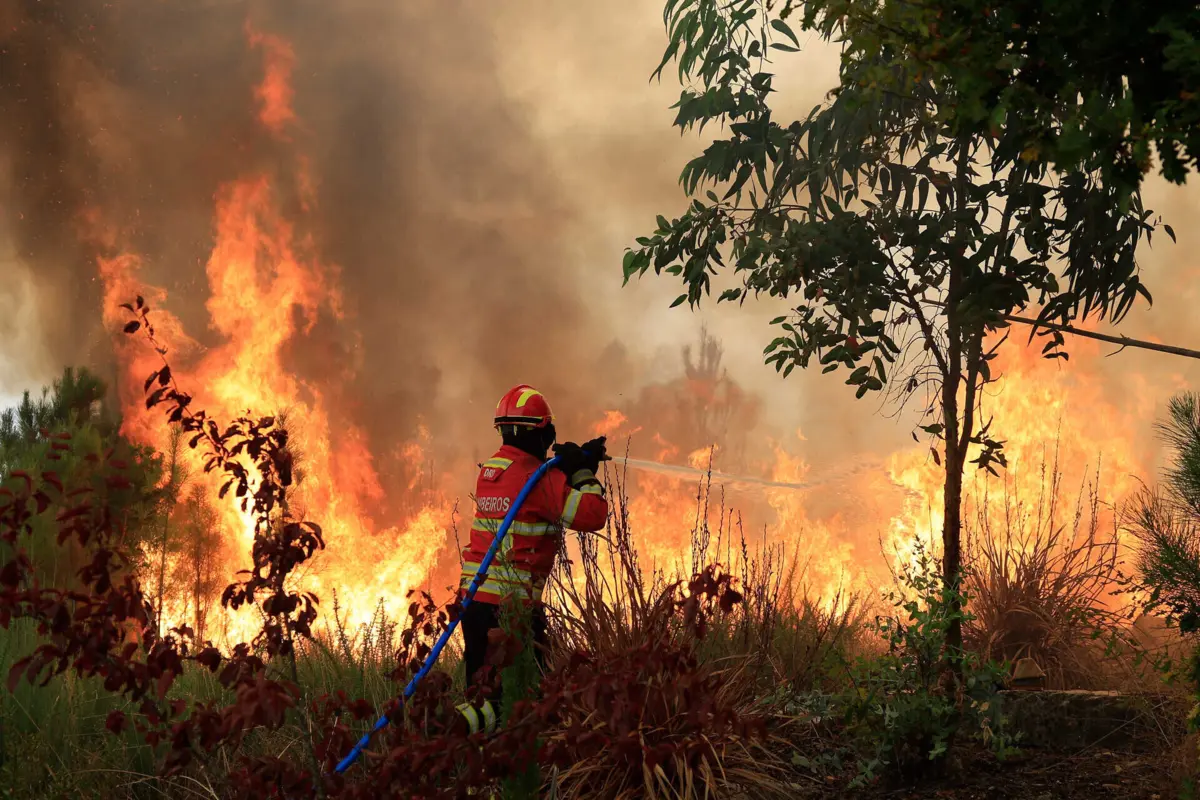 Entre os dias 15 e 19 de setembro, uma vaga de incêndios assolou o centro e norte do país