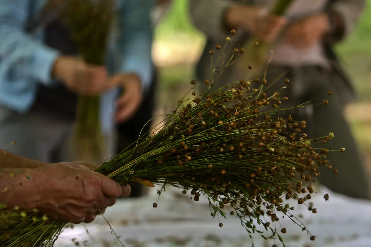 “Os arguidos recrutavam pessoas fragilizadas, com carências económicas e em processos de exclusão social", alegou o Ministério Público