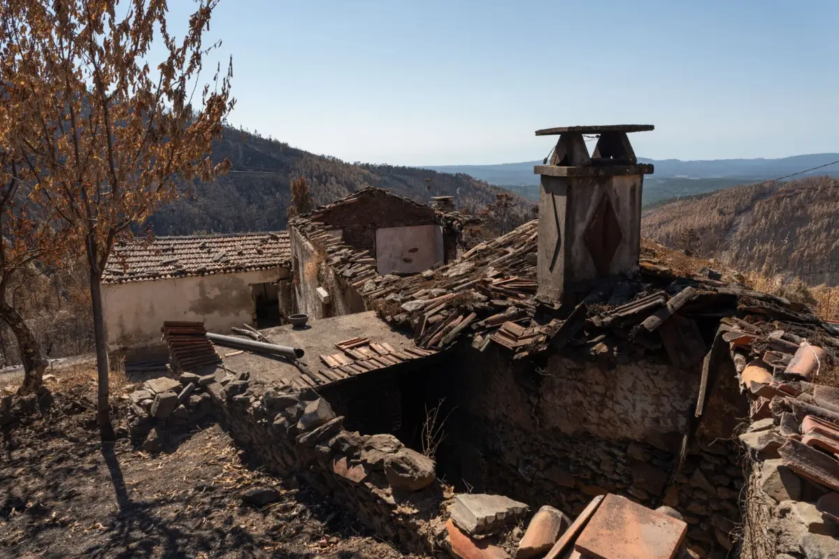 Conselho das Comunidades Portuguesas (CCP) acusa o Governo de discriminar os emigrantes