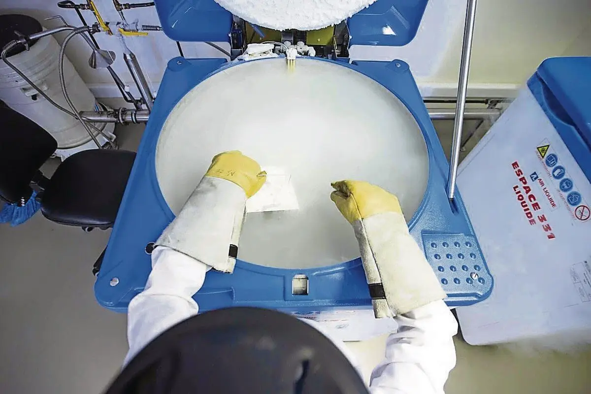 Em 2022, nasceram 3673 crianças com recurso à PMA, representando já 4,4% do total