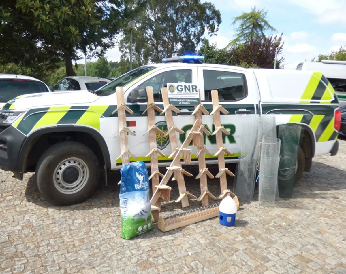 Militares do Serviço de Proteção da Natureza e do Ambiente apreenderam material