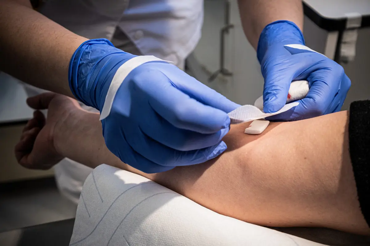 Todos os anos, explica ao JN a presidente do IPST, registam-se dois picos, sazonais, de carência