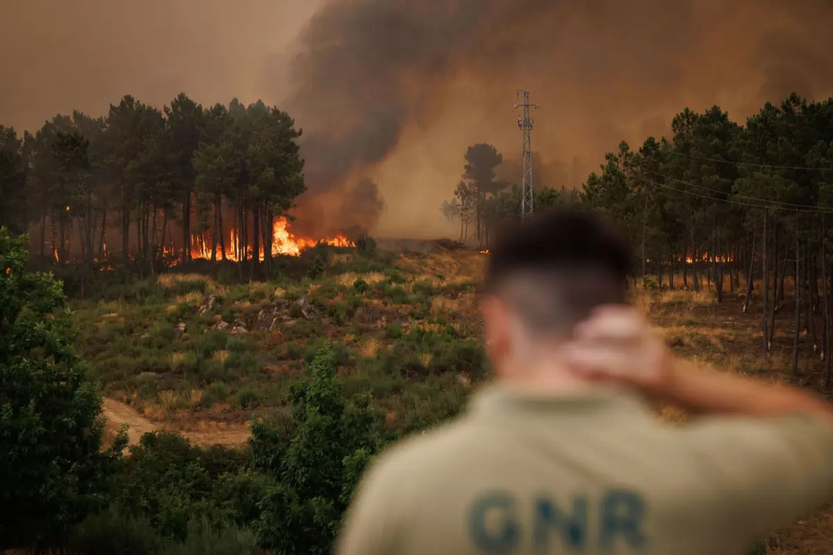 Imagem de contexto do artigo Mais de 20 concelhos de sete distritos em perigo máximo de incêndio