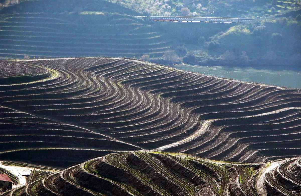 Imagem de contexto do artigo Carrazeda prepara-se para celebrar 23 anos do Douro Património Mundial