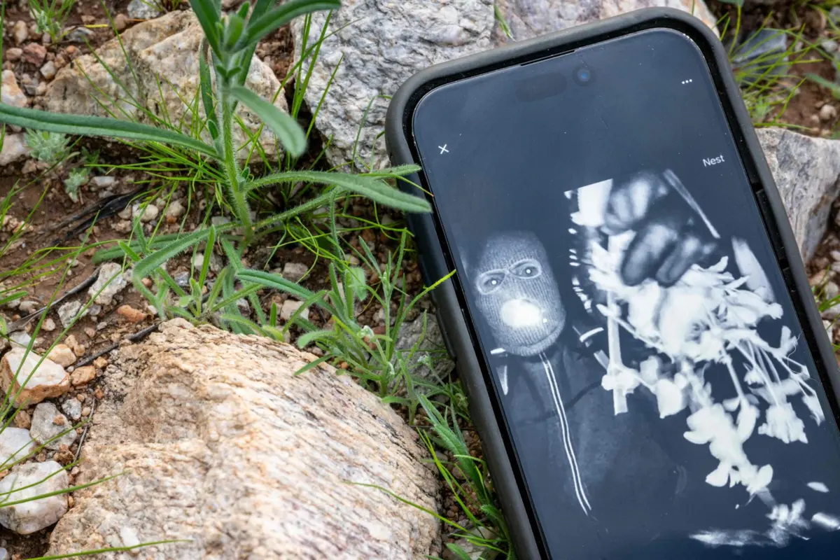 Imagem de contexto do artigo FBI revela novos detalhes sobre suspeito do rapto de Nancy Guthrie