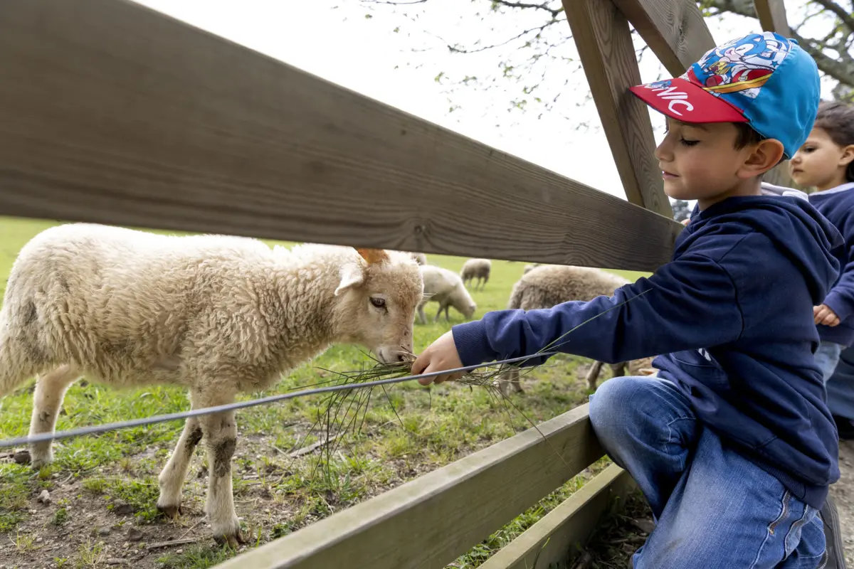 Esta foi a 10.ª edição do BioBlitz em Serralves
