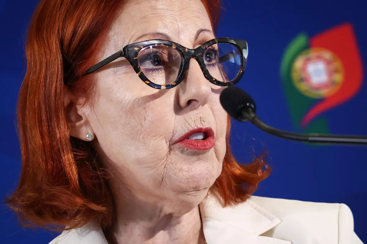 Maria da Graça Carvalho, ministra do Ambiente, apresentou esta terça-feira o E-Lar