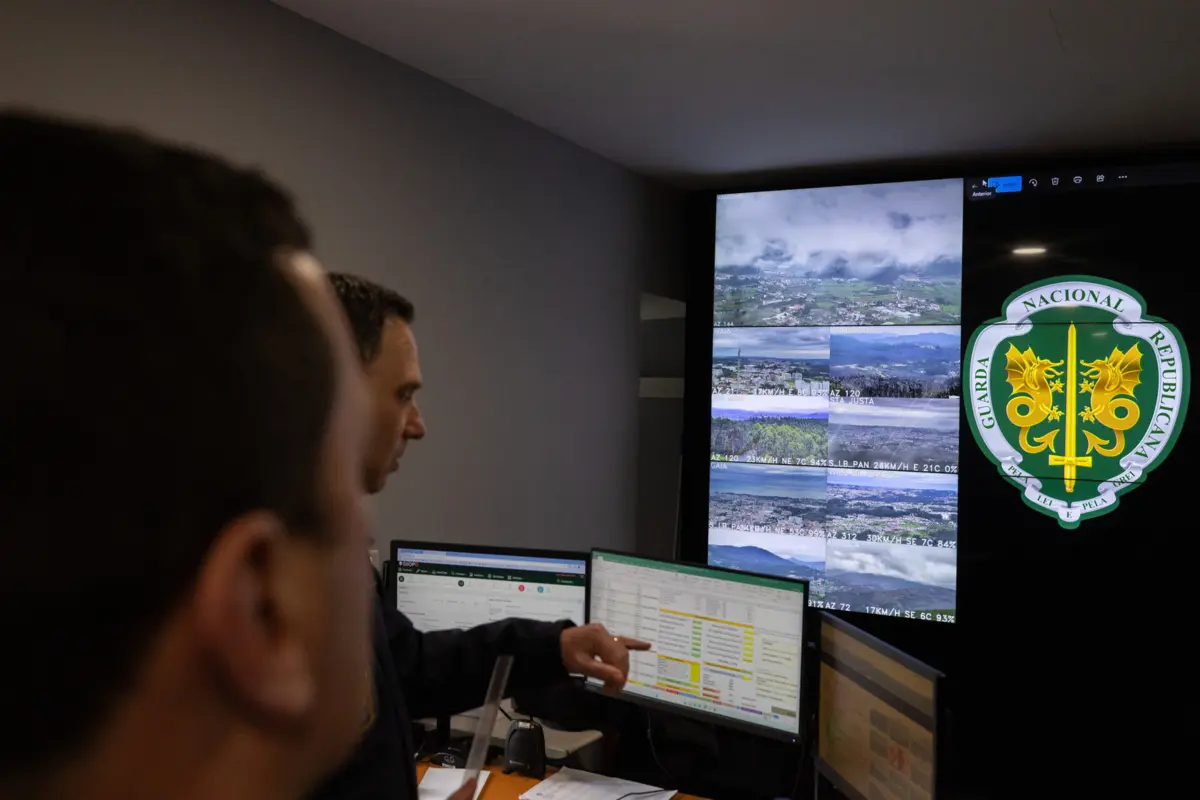 Câmaras na floresta transmitem para a Sala de Situação