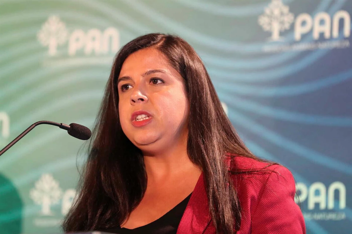 Inês Sousa Real, líder do PAN