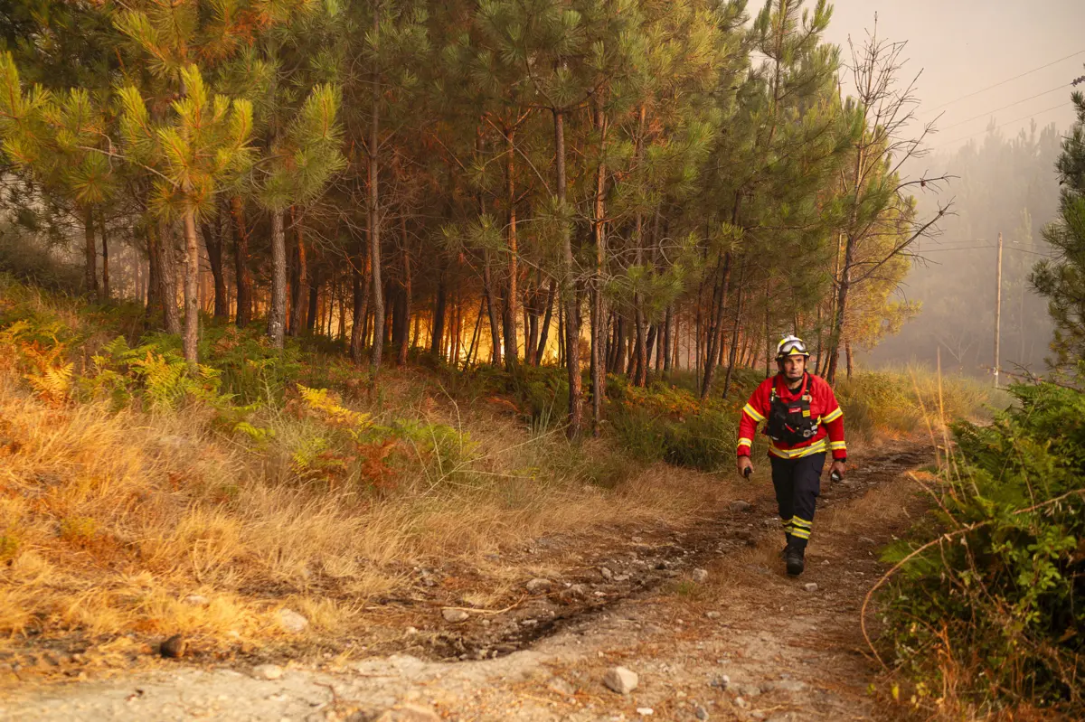 No terreno continuam mais de 530 operacionais a combater alguns pontos quentes