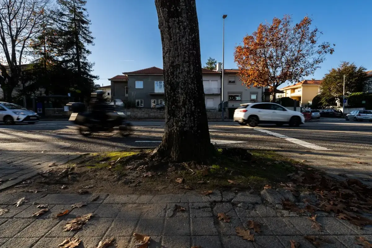 Intervenções decorrerão em oito ruas da zona oriental