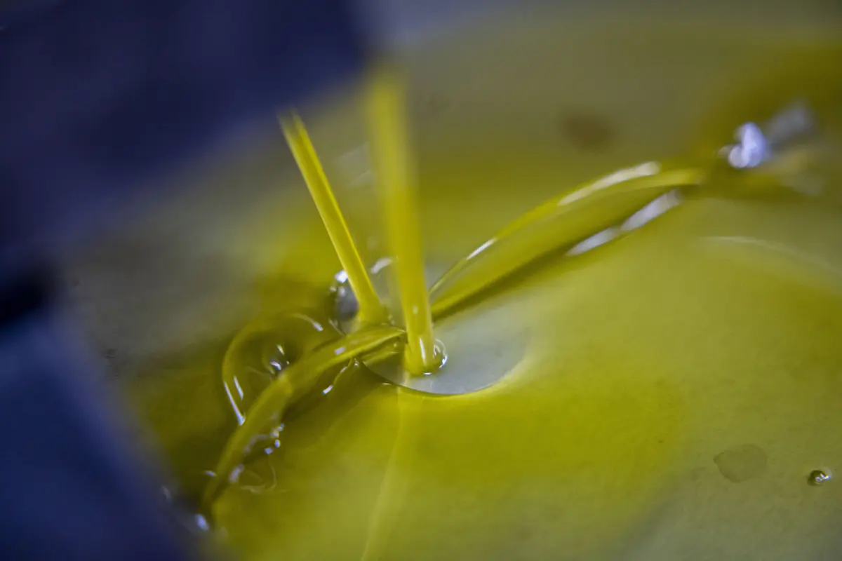 Quanto ao consumo de azeite em Espanha diminuiu 20% num ano