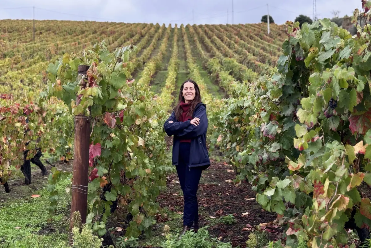 Helena Teixeira aponta uma redução inferior a 1%