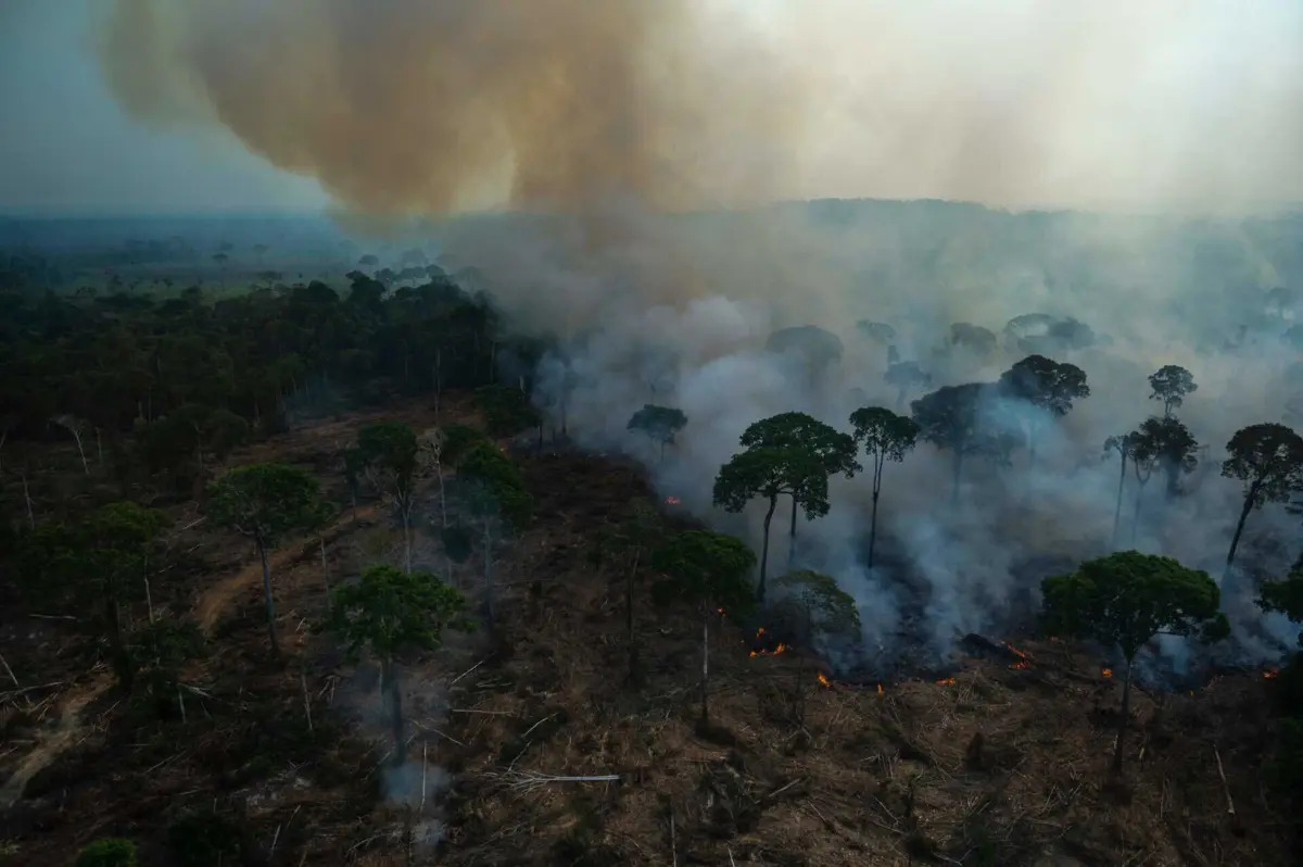 Incêndios ocorridos em setembro representam quase metade dos registados nos primeiros nove meses do ano
