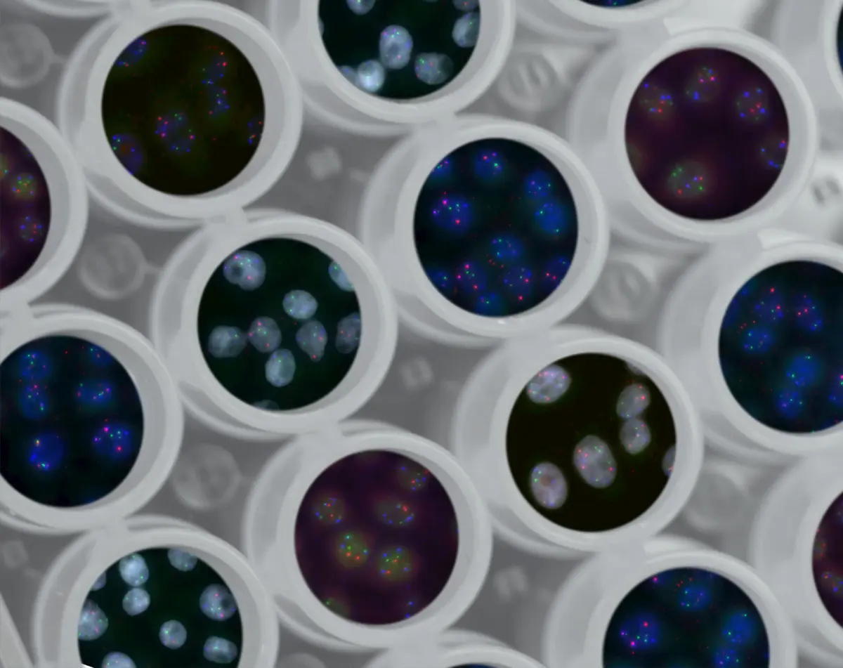 Imagem de contexto do artigo Dos mapas do cérebro às pontes vivas: as inovações que irão mudar a sua vida em 2025