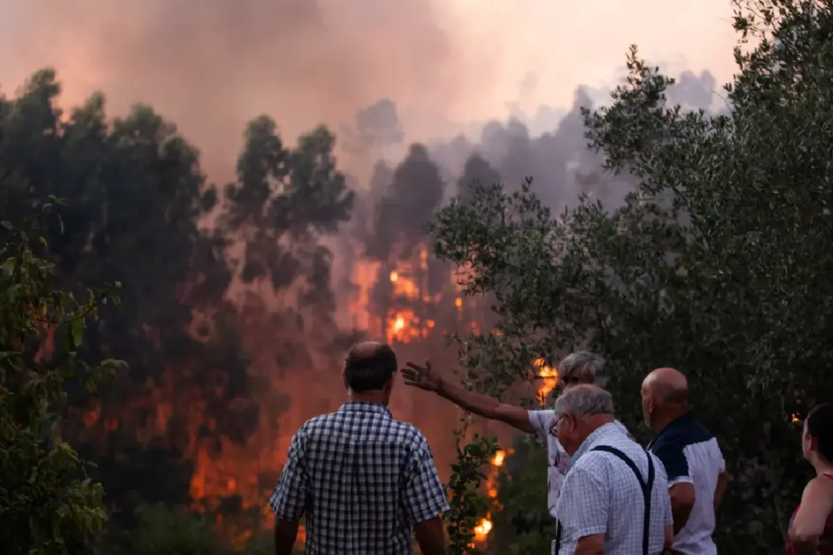 Desde 2017, a GNR contabilizou 42 559 crimes de incêndios florestais