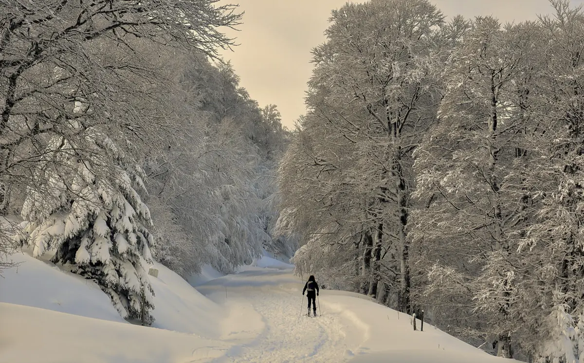 Os Pirenéus são dos destinos de neve mais acessíveis desde Portugal