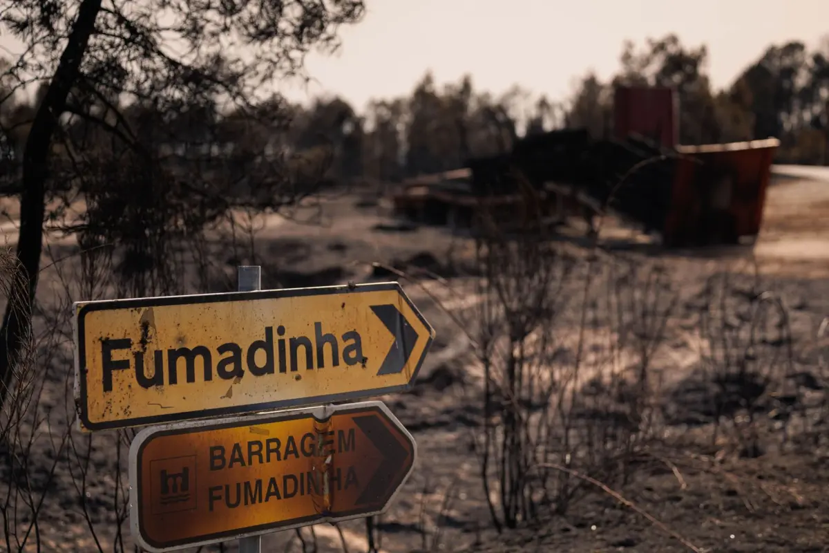 Grandes incêndios deixaram rasto de floresta queimada e muitos prejuízos